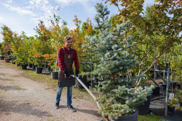 Best Tree Preservation Services  in Palouse, WA